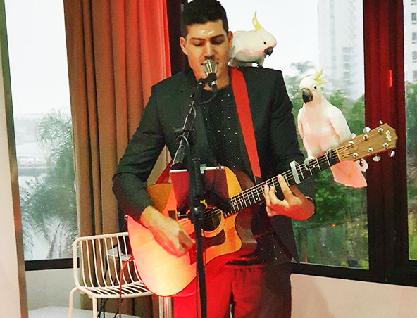 Adrian Acoustic Soloist Brisbane - Musicians Wedding Singers